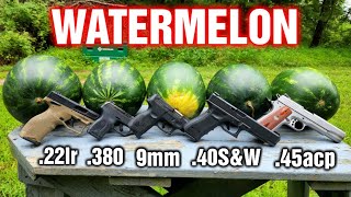 Pistols VS Watermelons 22lr 380 9mm 40SampW 45ACP Comparison [upl. by Neddy]