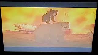 Opening El Rey León Vhs Mexicano1995 [upl. by Yonah]