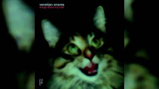 Venetian Snares  Look HQ Audio [upl. by Colyer]