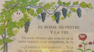 El rosal silvestre y la vid  Fábula ¿Para qué [upl. by Stearne]