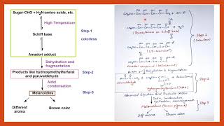 Maillard Reaction  Food Chemistry  Food Safety Officer  CFSO  Food technology [upl. by Ihtac]