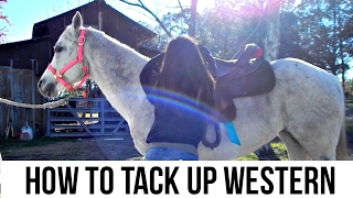 How to Tack Up Western [upl. by Ennalorac]