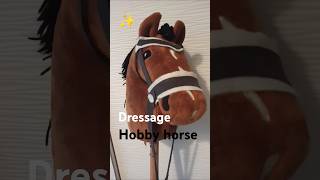 What you need for DRESSAGE HOBBY HORSE Competiton version [upl. by Dupin]