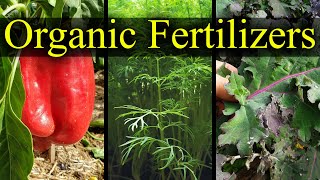 Organic Fertilizers  My Top 5 Choices For 2021 [upl. by Castle730]