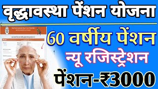 60 Years Old Pension Yojana 2024 Online Apply  old age pension yojana 2024 up  online registration [upl. by Eocsor]