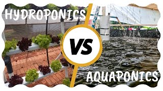 Hydroponics vs Aquaponics  Episode 1 [upl. by Leahcar847]