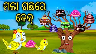 Mala Gachare Cake  Odia Cartoon Odia Bird StoriesOdia Chadhei Gapa Odia Moral Story Odia Gapa [upl. by Eniluj]