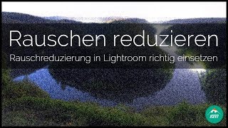 RAUSCHEN REDUZIEREN IN LIGHTROOM  Die Rauschreduzierung umfassend erklärt  CRTVTY [upl. by Ettevram]