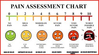 Pemeriksaan Nyeri  Nursing Pain assessment [upl. by Goggin]