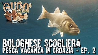 8 GUDOTERROR  Bolognese scogliera in Croazia II parte video pesca [upl. by Melvyn588]