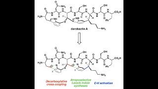 Atroposelective Total Synthesis of the Macrocyclic Antibiotic Darobactin A Baran Group [upl. by Lily]