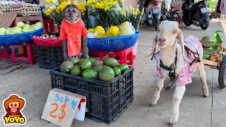 YoYo JR takes the goat to harvest vegetables and goes market sell  full version [upl. by Gregson489]