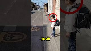 Veilig Oversteken in Japan 🚶 [upl. by Nahtnoj]