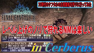 FF11 クフタルに沸くレベル上げPTでやれちゃうNMやってみた [upl. by Animsay756]