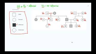 Pedigree diagrams in Genetics  IGCSE Biology  IB Biology [upl. by Acsisnarf387]