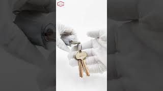 Standard US Lock Mortise Cylinder Schlage Keyway [upl. by Anaujal]