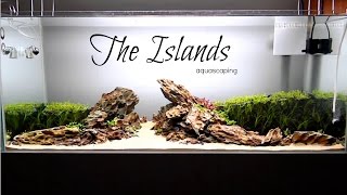 Aquascaping THE ISLANDS [upl. by Imhskal]