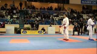 Karate1 PL Paris 2013  Kumite female 68 FINAL  BUCHINGER vs SHEROZIA [upl. by Inavihs207]