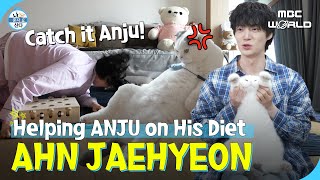 SUB Ahn Jaehyeon Does His Best to Assist His Cat Anju with Her Diet AHNJAEHYEON [upl. by Asseniv]