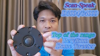 ScanSpeak D300464000 Hiend Beryllium Dome Tweeter Speaker Preview [upl. by Dominic]