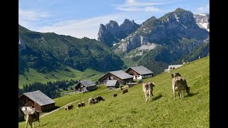 Alpstein in early summer Brülisau ーAlpsiegel 初夏のアルプシュタイン [upl. by Ydak]