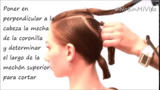 Tutorial  Corte Bob facilísimo para hacerse en casa [upl. by Yeta40]