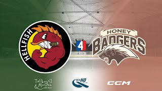 Hellfish v Honey Badgers  Div 4  4th December  iceHQ Rec League ice hockey [upl. by Ayom855]