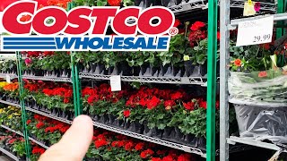 Costco Sells Fresh and Garden Flowers [upl. by Yahs299]