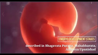 Embryo development stages described in Bhagavatam Mahabharata Aitareya Upanishad embryogenesis [upl. by Eniahs]