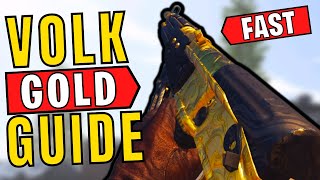 How to Get Gold on the Volkssturmgewehr amp Best Attachments  Camo Challenge Guide  Vanguard [upl. by Acire640]