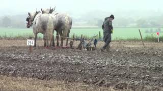 National Ploughing Championship 2018 Horses and rain [upl. by Atinaej]