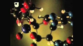 DNA Replication  DNA RNA and Protein Formation 27 [upl. by Genesia640]