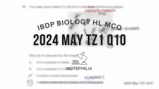 IB Biology HL 2024 May TZ1 Paper 1 Q10 [upl. by Yanrahc998]