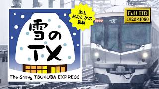 【電車】FHD／雪に負けない積雪のつくばエクスプレス2019 [upl. by Shawna]