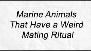 Marine Animals That Have a Weird Mating Ritual [upl. by Anirehc]