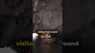 Discover the Underground River Palawan Philippines shorts palawan [upl. by Gautea]