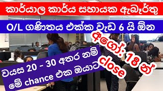 කාර්යාල කාර්ය සහායක ඇබෑර්තු 2024  jobs vacancies in Sri Lanka  Office Aide [upl. by Annaeerb930]