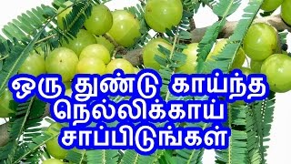 TamilTamil NattuTamil Nattu MaruthuvamTamil Siddha MaruthuvamTamil Natural MedicineSiddha [upl. by Alleram]