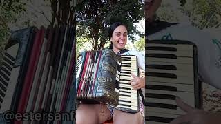 Ester Sanfoneira shorts sanfona musica forrozão acordeon [upl. by Fauch434]