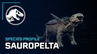 Species Profile  Sauropelta [upl. by Fisuoy]