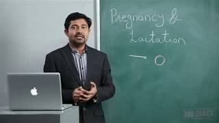 PHYSIOLOGY PREGNANCY amp LACTATION [upl. by Tnemelc]