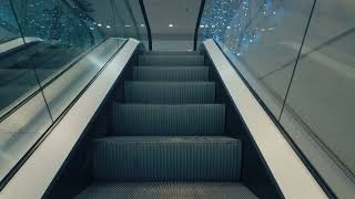 Sweden Stockholm Globen Shopping Center 4X escalator [upl. by Narot]