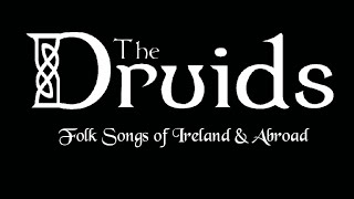 The Druids  Hey Paddy Live [upl. by Addam]