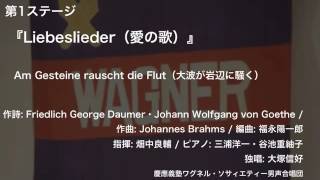 Am Gesteine rauscht die Flut（大波が岩辺に騒く） –『Liebeslieder（愛の歌）』（第114回定期演奏会） [upl. by Demmahom]