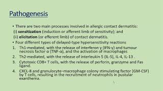 Lecture30 Allergic Contact Dermatitis Part I Rooks chapter 128 [upl. by Hortense]