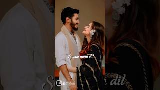 Seene mein dil dil mein dhadkan lyrics💫90s Hindi 🤍song 🎶 status 🥀video shorts viralreels [upl. by Kerwon152]