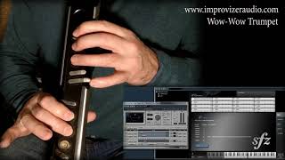 Trumpet Wow mute soundfont amp free Aria Player amp AKAI EWI brass orchestral wav EWI4000s [upl. by Gnart]