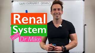 Renal System  Overview [upl. by Nahsez887]