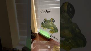 SILVERCHAIR  FROGSTOMP music on vinyl pressing numbered limited edition vinylrecords [upl. by Genaro]