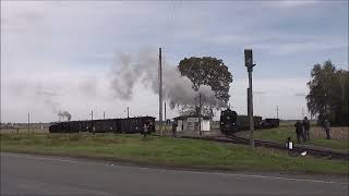 99 4652 und Lok 11 im Bahnhof Siersleben [upl. by Chastity]